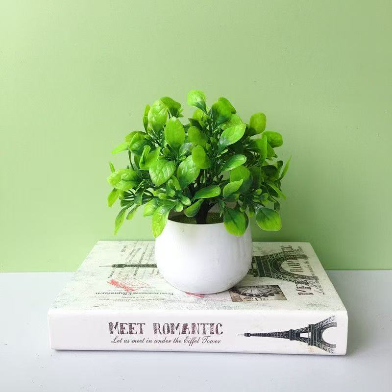 Cute Cartoon Face Artificial Plant in Ceramic Pot