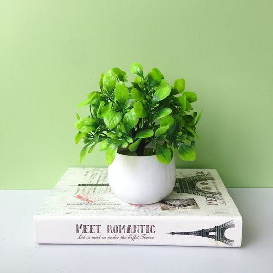 Cute Cartoon Face Artificial Plant in Ceramic Pot